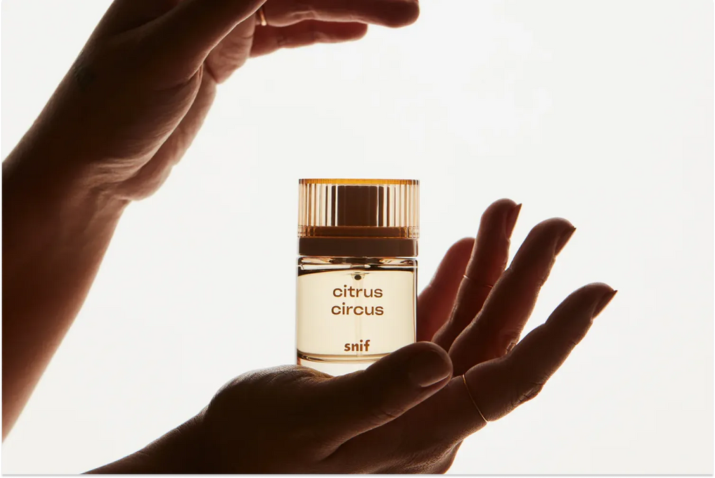 Amber Fragrance What Does It Smell Like? Snif