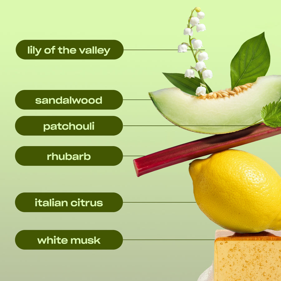 SIGNATURE SPIN - FRESH CITRUS SCENTED LAUNDRY DETERGENT