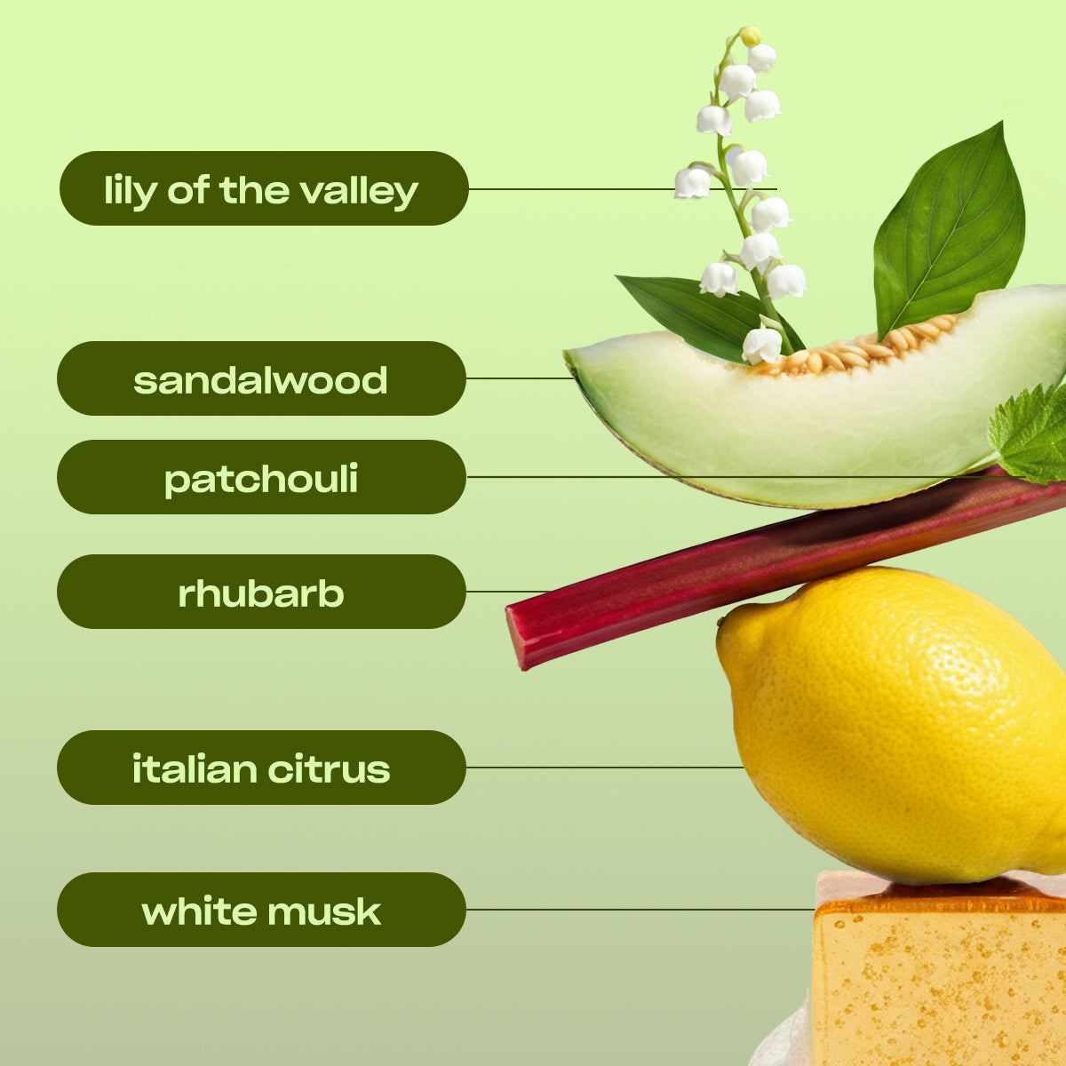 SIGNATURE SPIN - FRESH CITRUS LAUNDRY SCENT BOOSTER