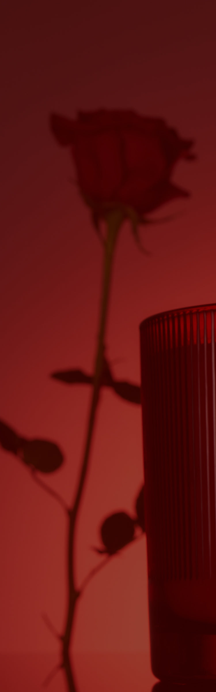 Snif | Chocolate Strawberry Votive Set| Non-Toxic, Vegan Candles | Snif