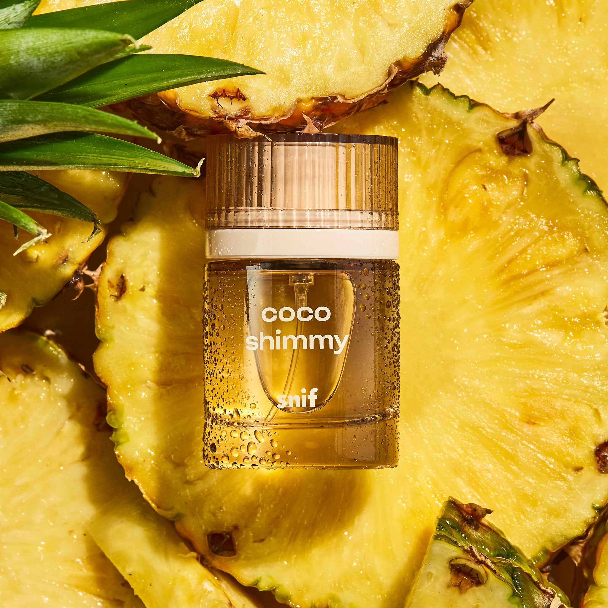 Coco Shimmy Coconut Tropical Fragrance Snif