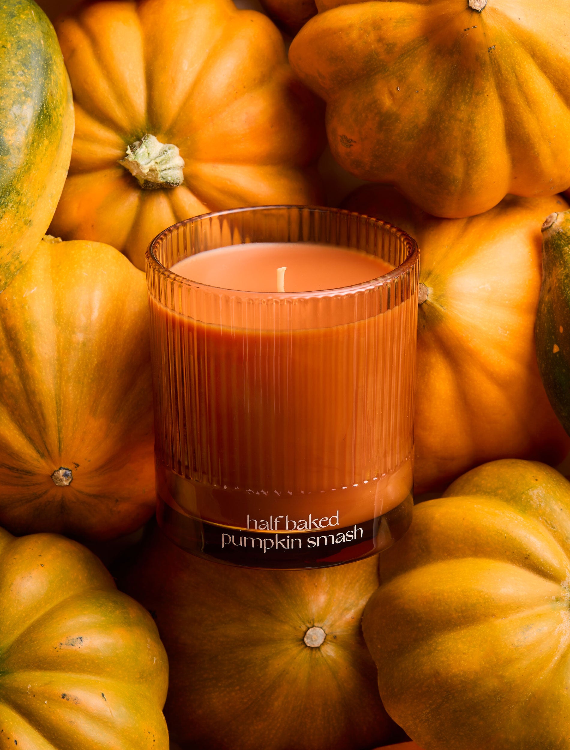 Snif x Half Baked Harvest - Pumpkin + Apple Cider Candle Bundle