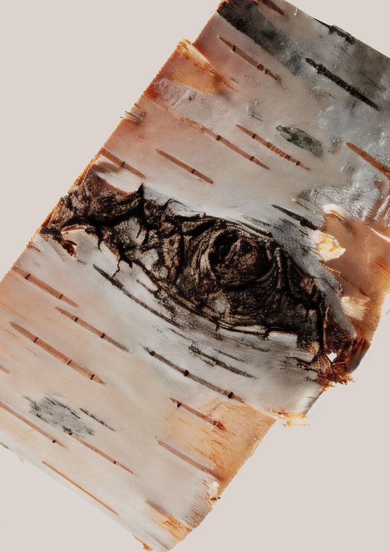 Tart Deco | Woody Cherry Perfume – Snif