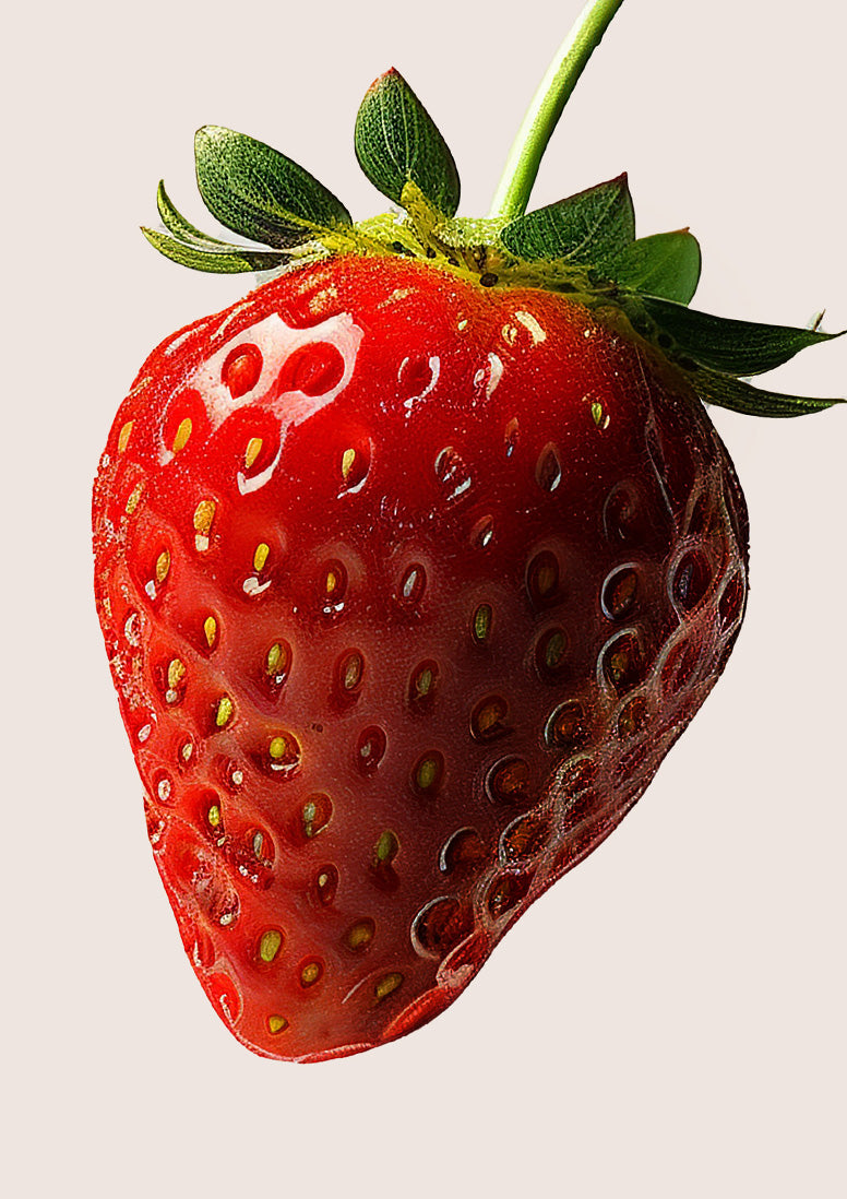 Rose Era | Rose Perfume | Snif x Monet McMichael