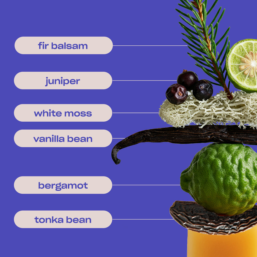 SWEET ASH - TONKA AND JUNIPER SCENTED LAUNDRY SCENT BOOSTER