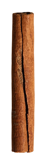 Cinnamon Stick